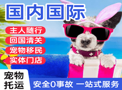 无锡航空邮寄国际宠物托运 【国
